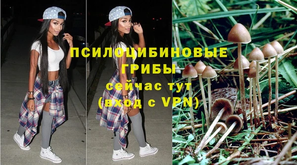 амф Абдулино
