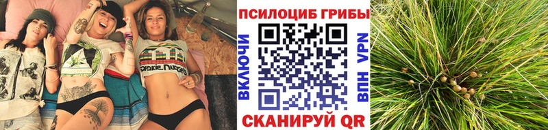 Псилоцибиновые грибы мицелий  Новоуральск 